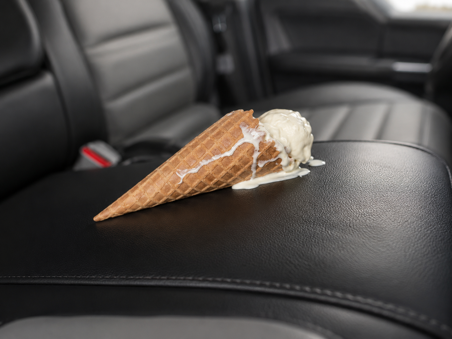 Leather Interior Stains