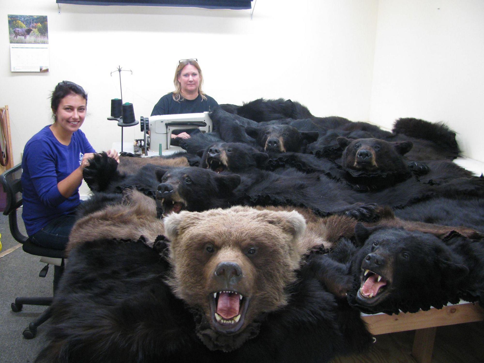 Bear Rugs